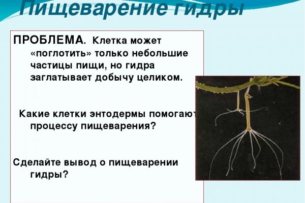 Кракен тор krakendark krakendark link