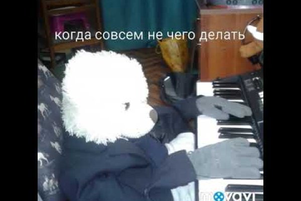 Kraken россия