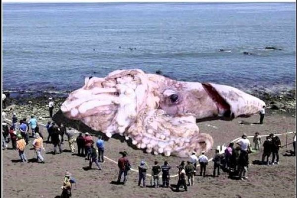 Ссылка на кракен onion kraken dark link