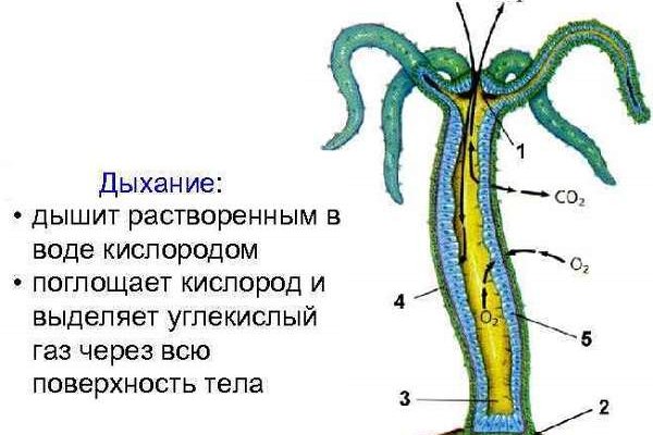 Кракен вход магазин