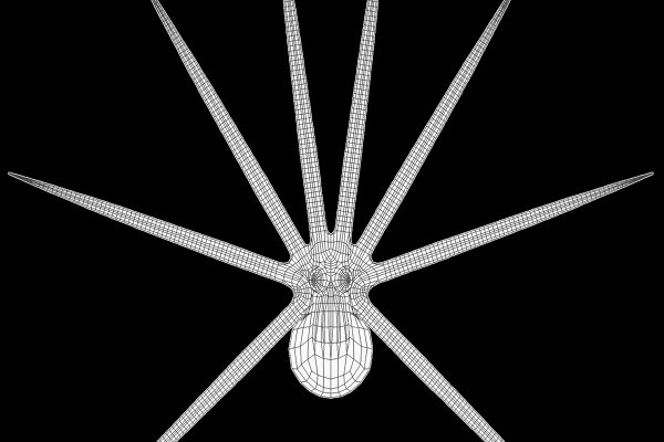 Kraken 23at