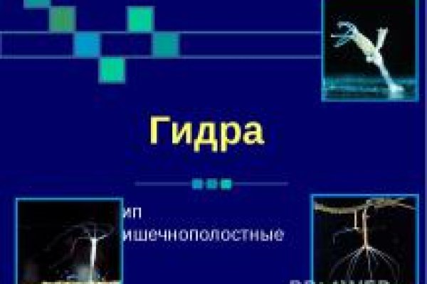 Как вывести деньги с kraken