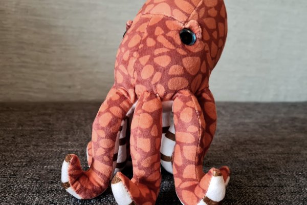 Kraken 14at