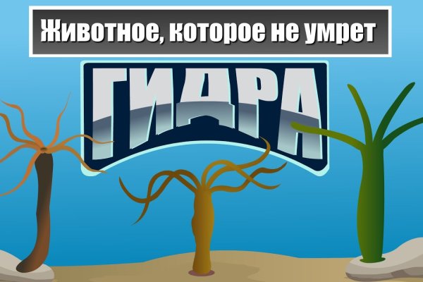 Кракен маркетплейс kr2web in