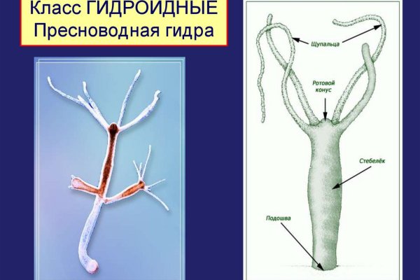 Даркнет официальный сайт вход