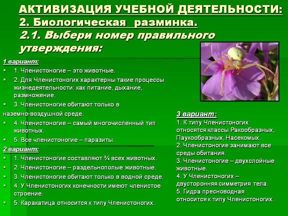 Сайт вместо гидры