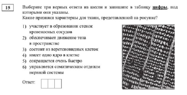 Кракен перейти